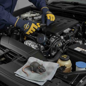 Car Rat Sensor Installation